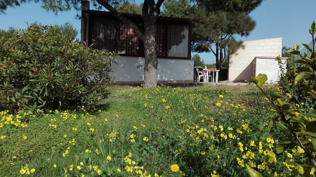 Apartmán Casa Relax Acqua Marina Favignana Exteriér fotografie